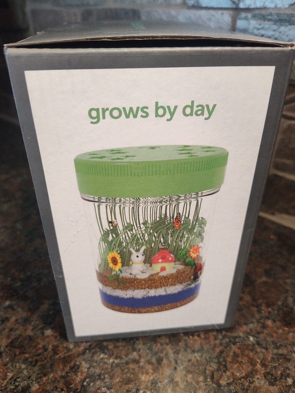 Mini Explorer Light-Up Terrarium Kit - Grows And Glows - Picture 2 of 4